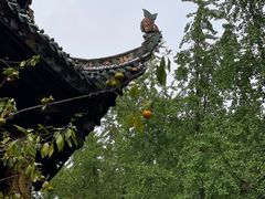 -青羊宫