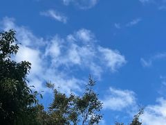 -瀛洲公园