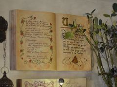 -春风·有糖(崇宁路店)