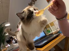 -有何Book(六堰体育馆店)