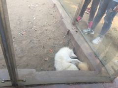 -无锡动物园·太湖欢乐园