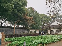 -绍兴鲁迅故里·沈园景区