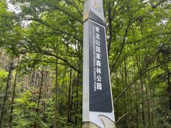 -青龙山国家森林公园