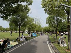 -洋湖国家湿地公园