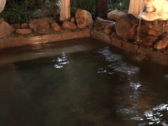 -国御温泉度假小镇