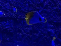 -鄂尔多斯野生动物园