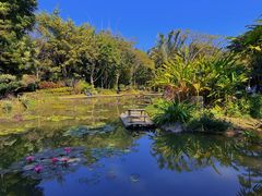 -西双版纳原始森林公园