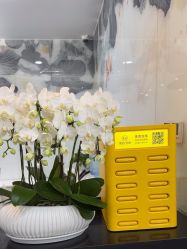 -上海首尔丽格医疗美容医院