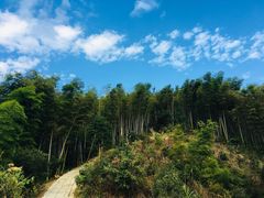 -梅岭月亮湾山体公园