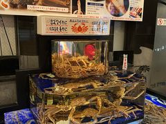 -蟹道乐(道顿堀本店)