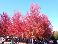-辽宁大学(崇山校区)