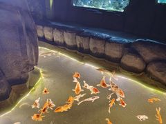 -重庆欢乐海底世界