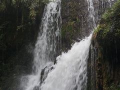 -龙苍沟森林公园