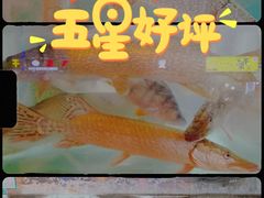 -煲来饱去冷水鱼