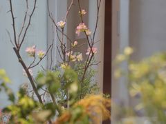 -花十悦·鲜花咖啡餐厅(振业城一期店)