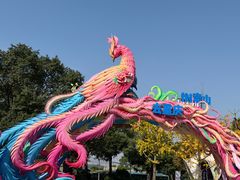 -南山植物园