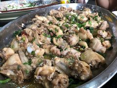 桑叶蒸走地鸡-百丈园龙江啫神馆