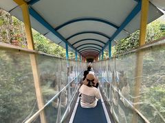 -七仙岭温泉国家森林公园