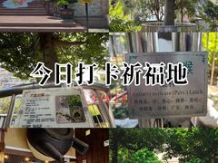 -广州神农草堂中医药博物馆