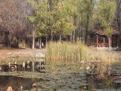 -云岗森林公园