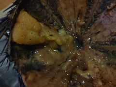 -海胆小馆(东北水饺·春柳店)