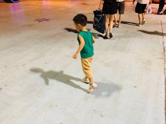 -广州长隆国际大马戏