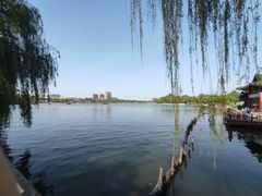 -济南大明湖景区