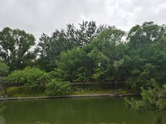 -朝阳公园游乐园