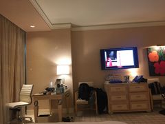 -拉斯维加斯永利酒店