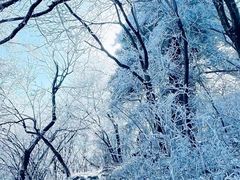 -浙西天池景区