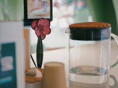 -Mint Gelato(二厂店)