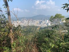 -板樟山森林公园