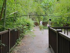 -素山寺森林公园