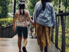 -黄海国家森林公园