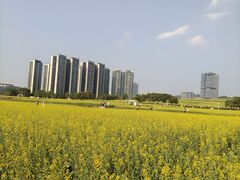 -光明小镇欢乐田园