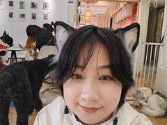 -Let's go狗咖·猫咖·奶狗·桌游(春熙路IFS店)