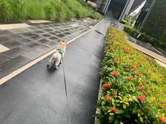 -万科前海企业公馆