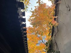 -铃木食堂(杨梅竹店)