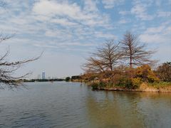 -海珠湖公园