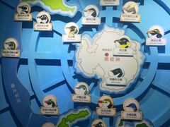 -海合安武汉极地海洋公园