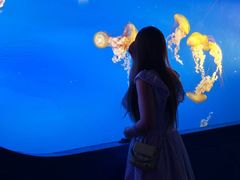 -太平洋海底世界