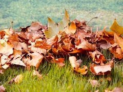 -河南省黄河迎宾馆