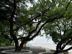 -平湖九龙山旅游度假区