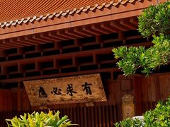 -深圳仙湖植物园