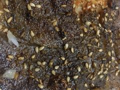 -正通记·哈尔滨烧烤·炭烤鸽子(七宝万科国际店)