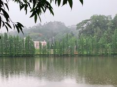 -三水森林公园