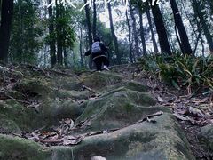 -南山植物园
