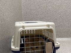 -谐和贝康宠物医院24小时·宠保定点(急重症转诊中心)