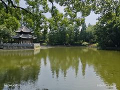 -习家池
