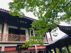环境-十八棵（老龙井）御茶园(老龙井店)